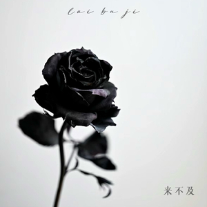 亚洲AV日韩AV高潮潮喷无码
