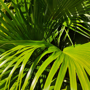 亚洲AV日韩AV高潮潮喷无码
